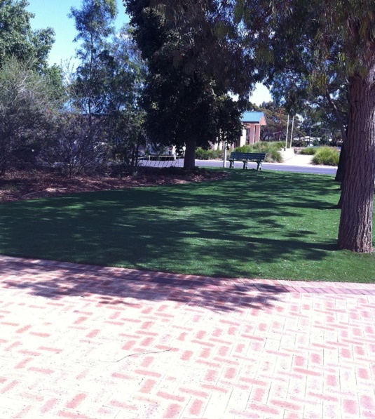 Artificial Lawn for Verges and Streetscapes - Green Planet Grass