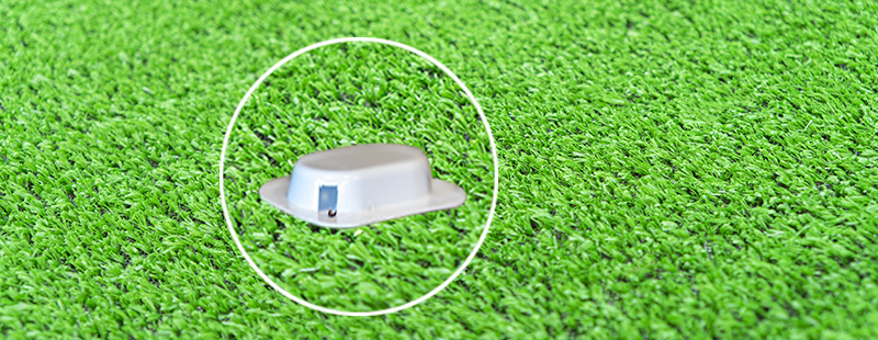 How to Treat Ants on Synthetic Grass - Green Planet Grass