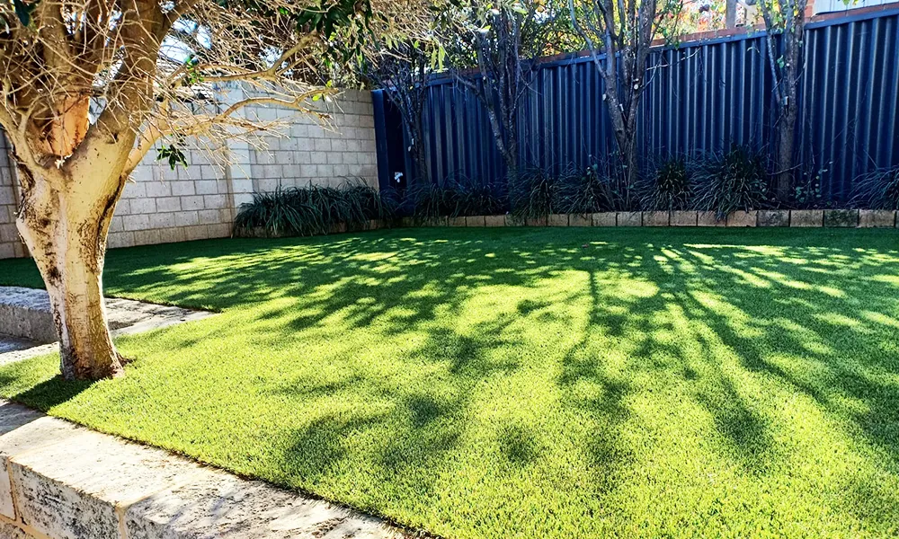 Lawn Reborn™