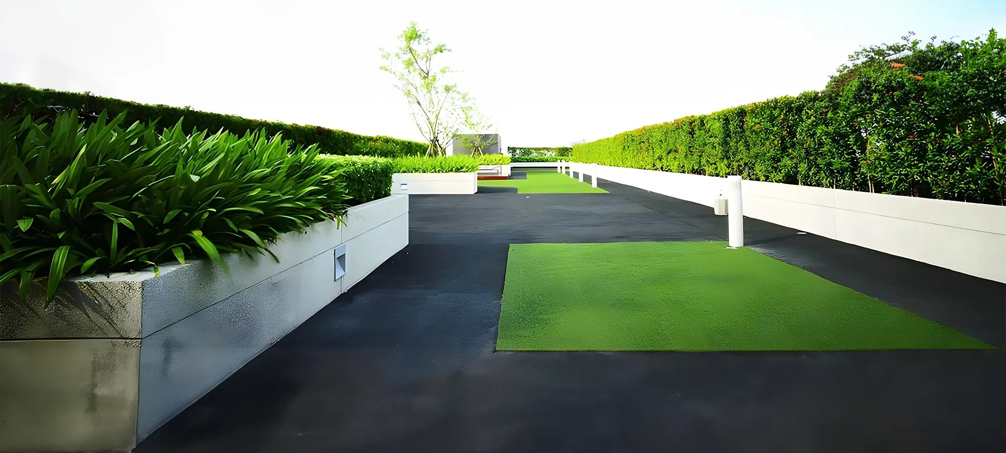 Home Slider | Green Planet Grass