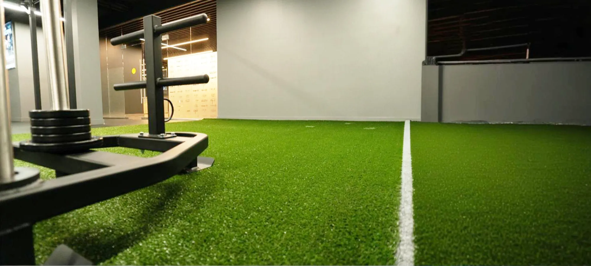 Gym | Green Planet Grass