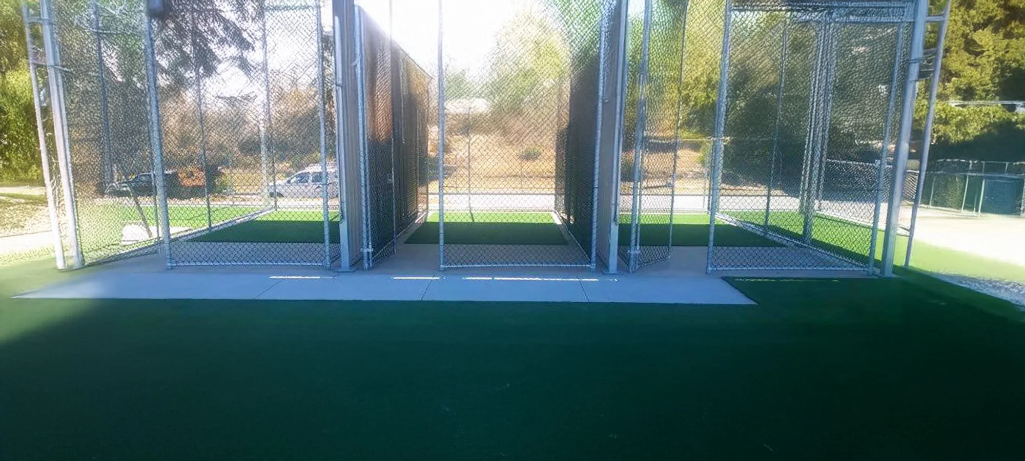 Kennels & Catteries | Green Planet Grass