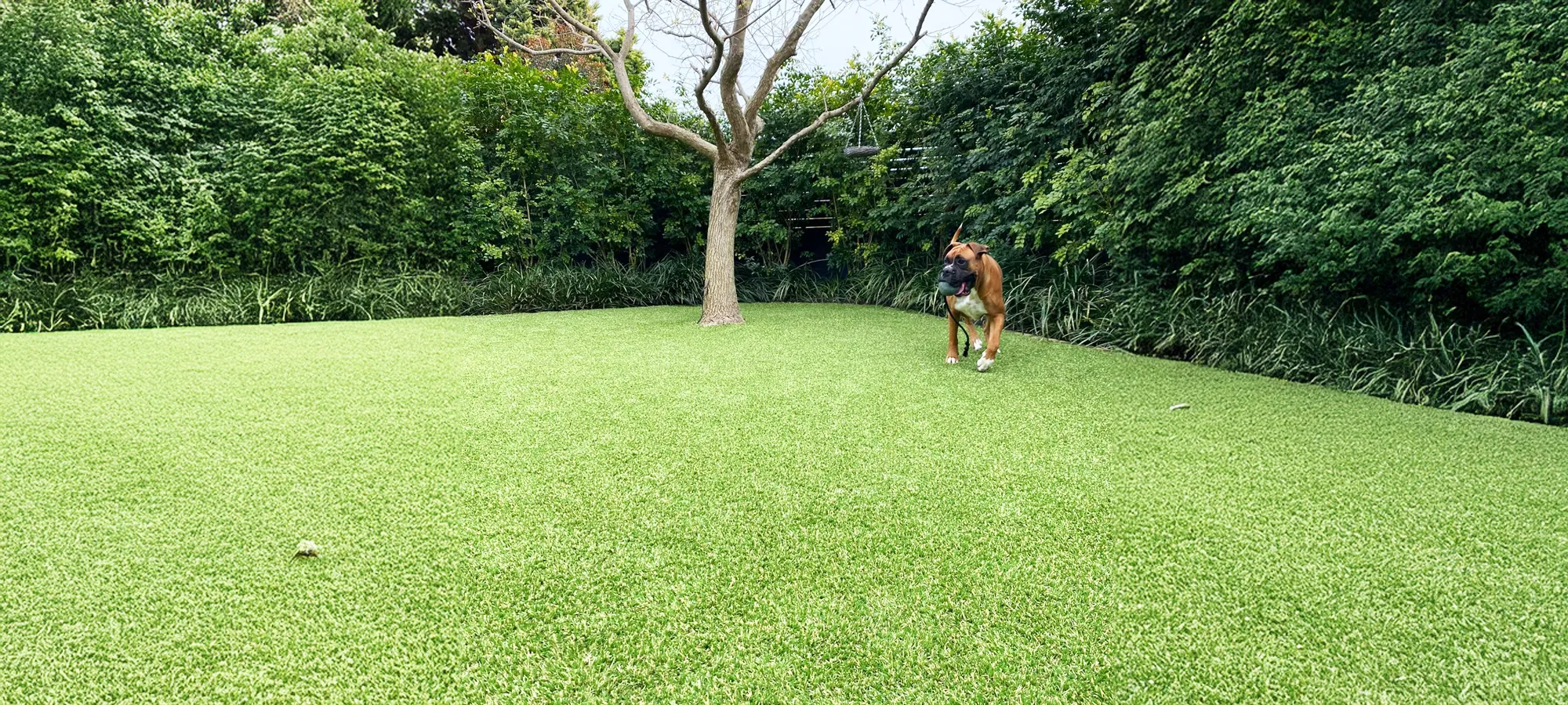 Landscape Grass Products Landscape Grass Products | Green Planet Grass