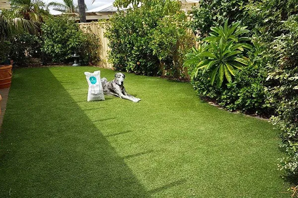 After artificial grass installation After artificial grass installation | Green Planet Grass