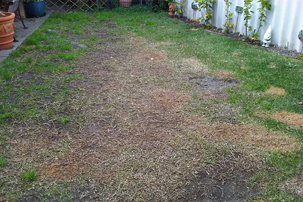 Before artificial grass installation Before artificial grass installation | Westminster National
