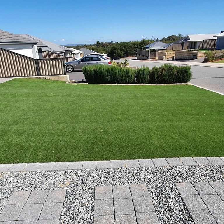 Pluto 25 | Green Planet Grass