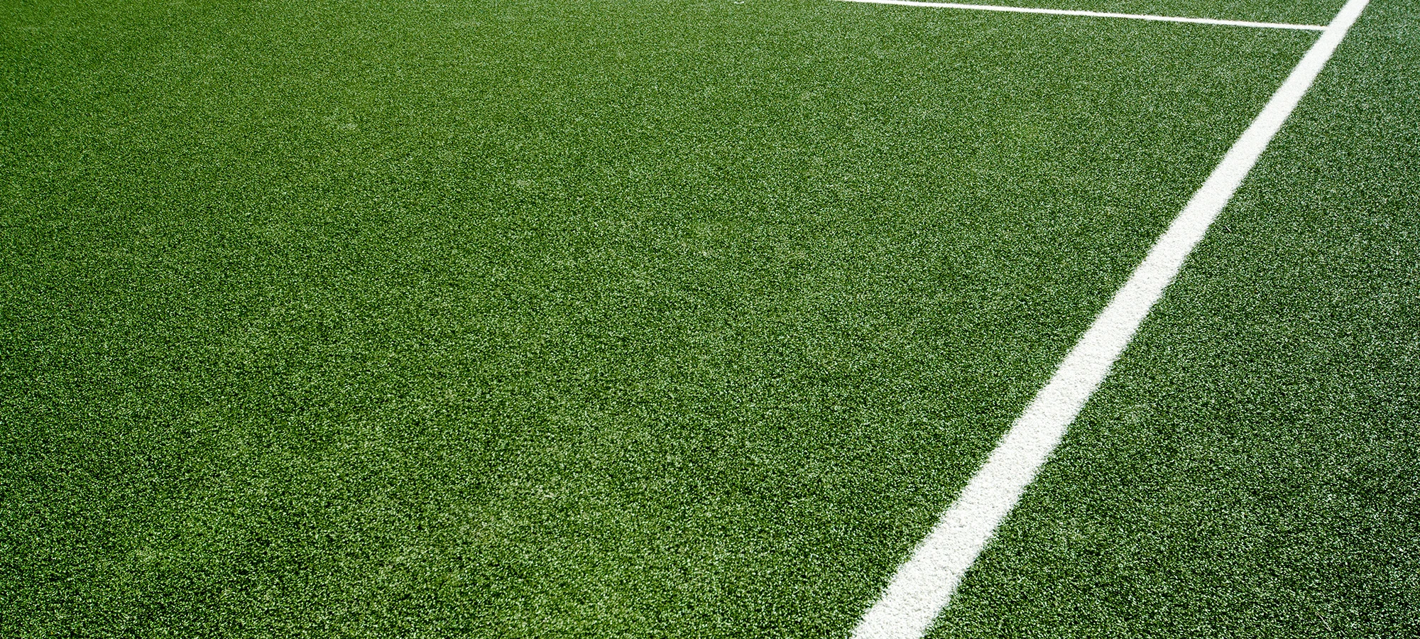 Artificial Grass Turf.