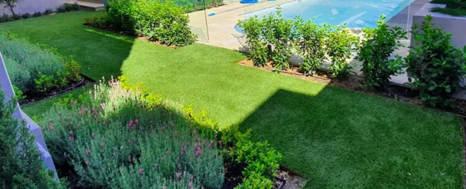 Design a Low-Maintenance Backyard