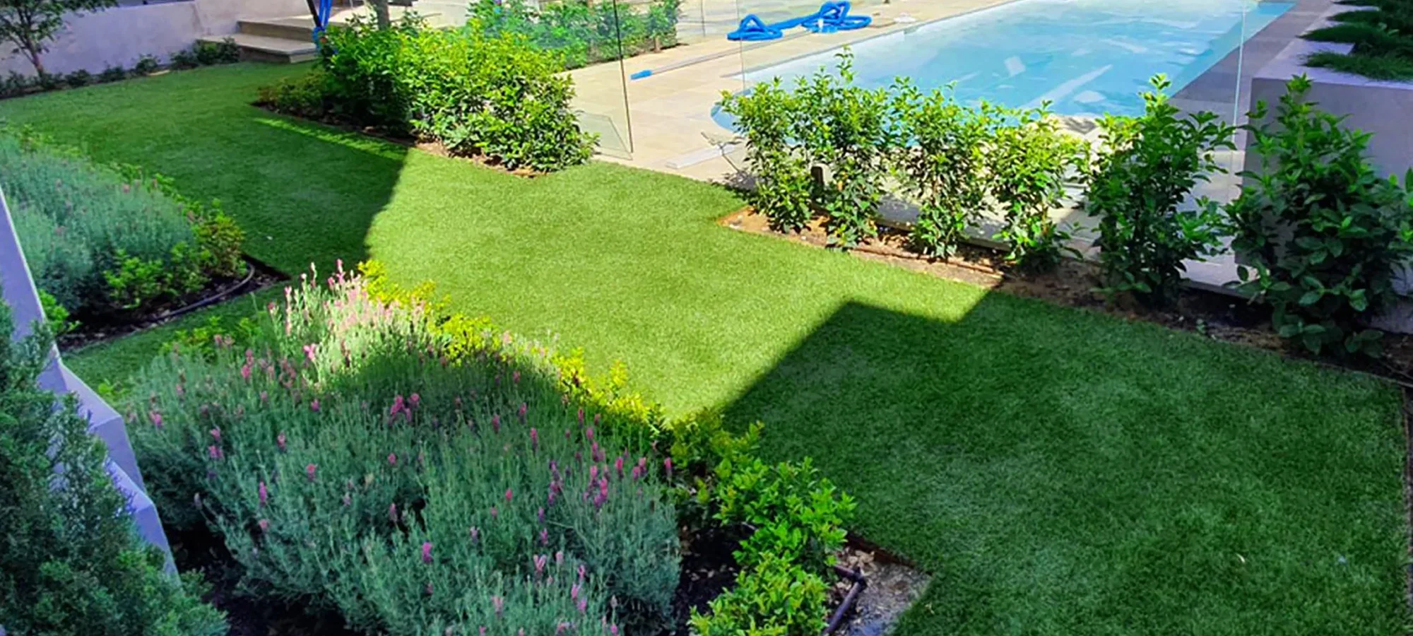 Design a Low-Maintenance Backyard