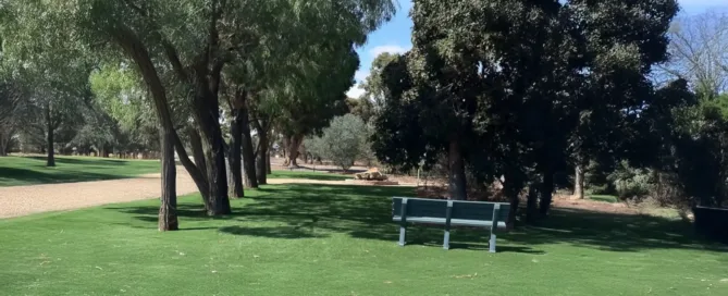 Synthetic grass lawn under gum trees in Perth park - no ant mounds visible