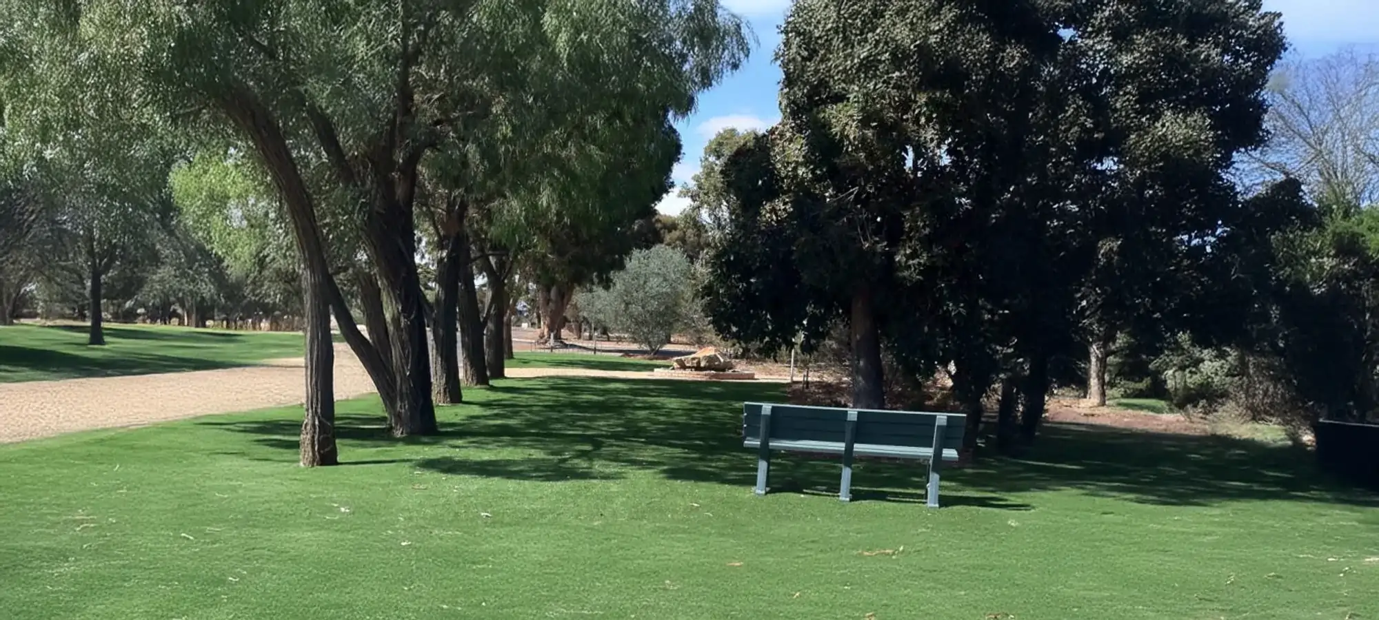 Synthetic grass lawn under gum trees in Perth park - no ant mounds visible