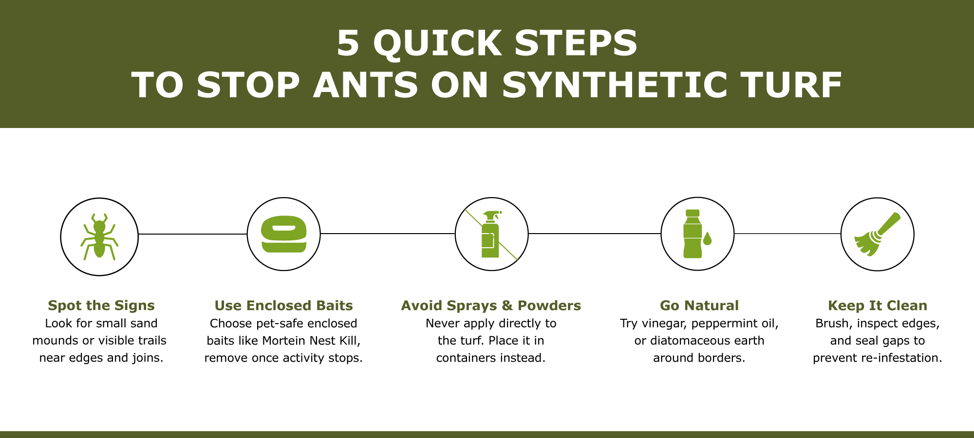 Infographics-image Ant control on synthetic grass: use enclosed baits, avoid sprays, prevent nests