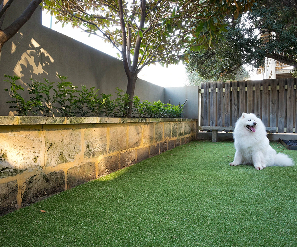 Residential artificial grass in Perth
