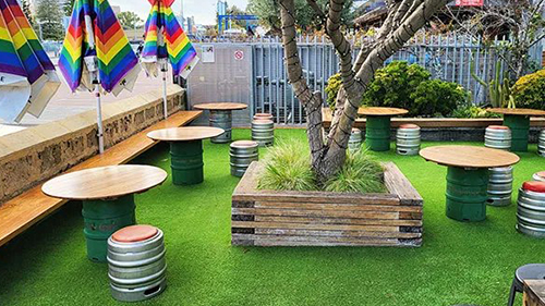 Low maintenance grass