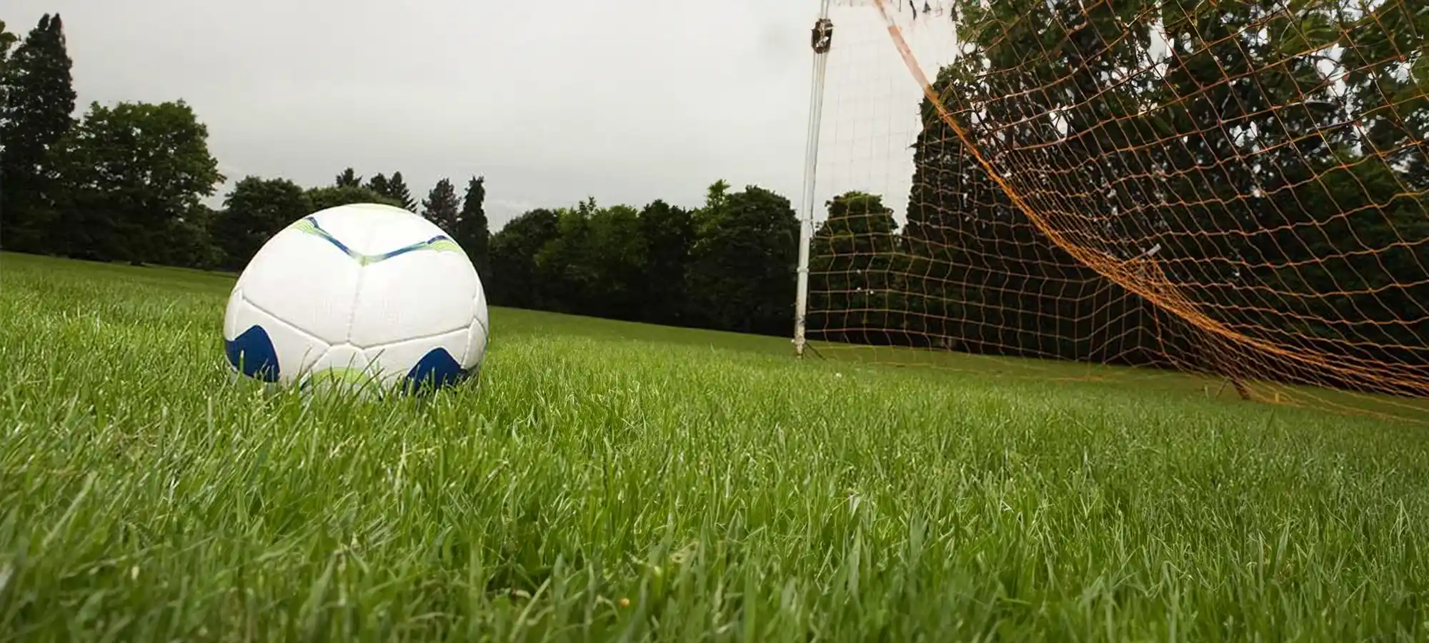 Artificial Grass Soccer