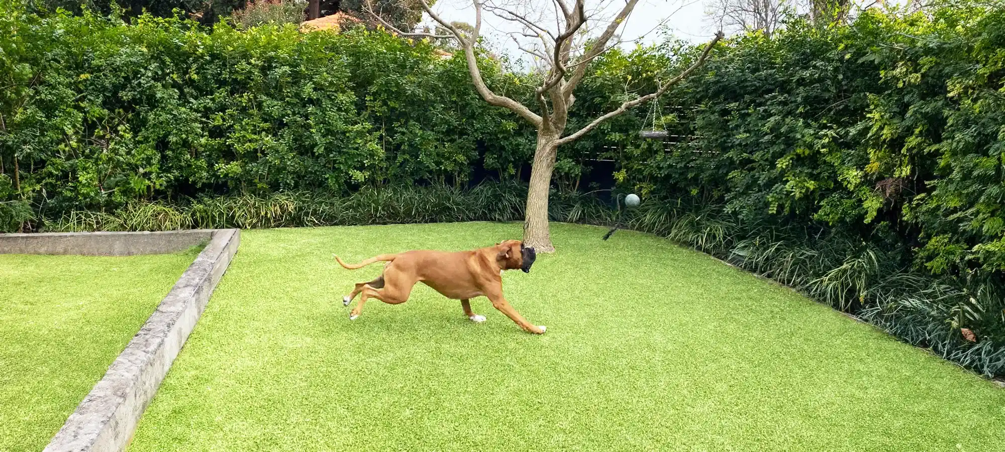 Landscape Artificial Grass Products landscape artificial grass products Perth range comparison